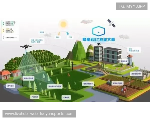 数字引擎推动人民币国际化，上海引领潮流，数字人民币上海地区活动